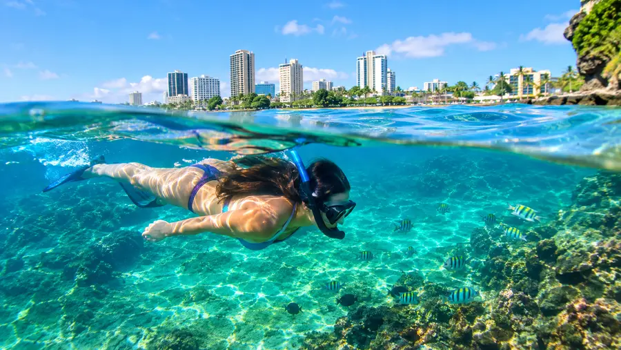 Beginners Guide to Snorkeling Condado Lagoon