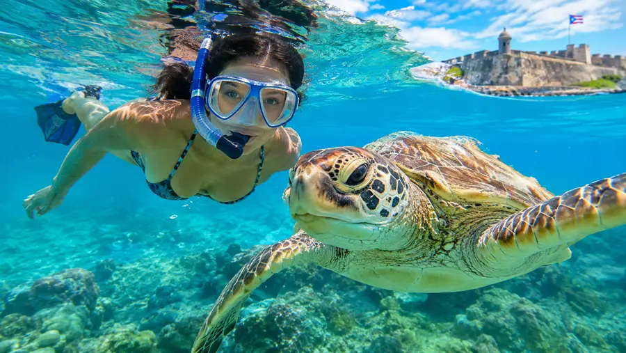 Capturing Memories Underwater Photography in San Juan