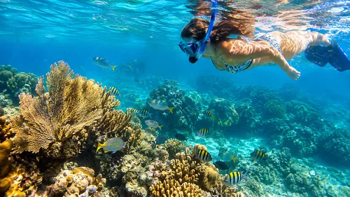 Drift the Coral Perimeter