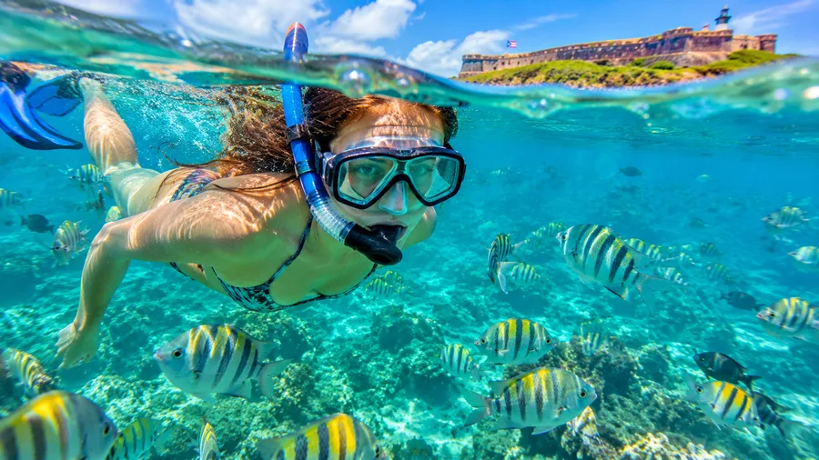 Excursiones de snorkel desde San Juan: mejores viajes de un día