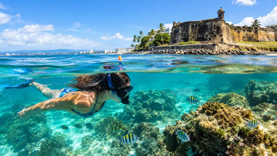 snorkeling in puerto rico
